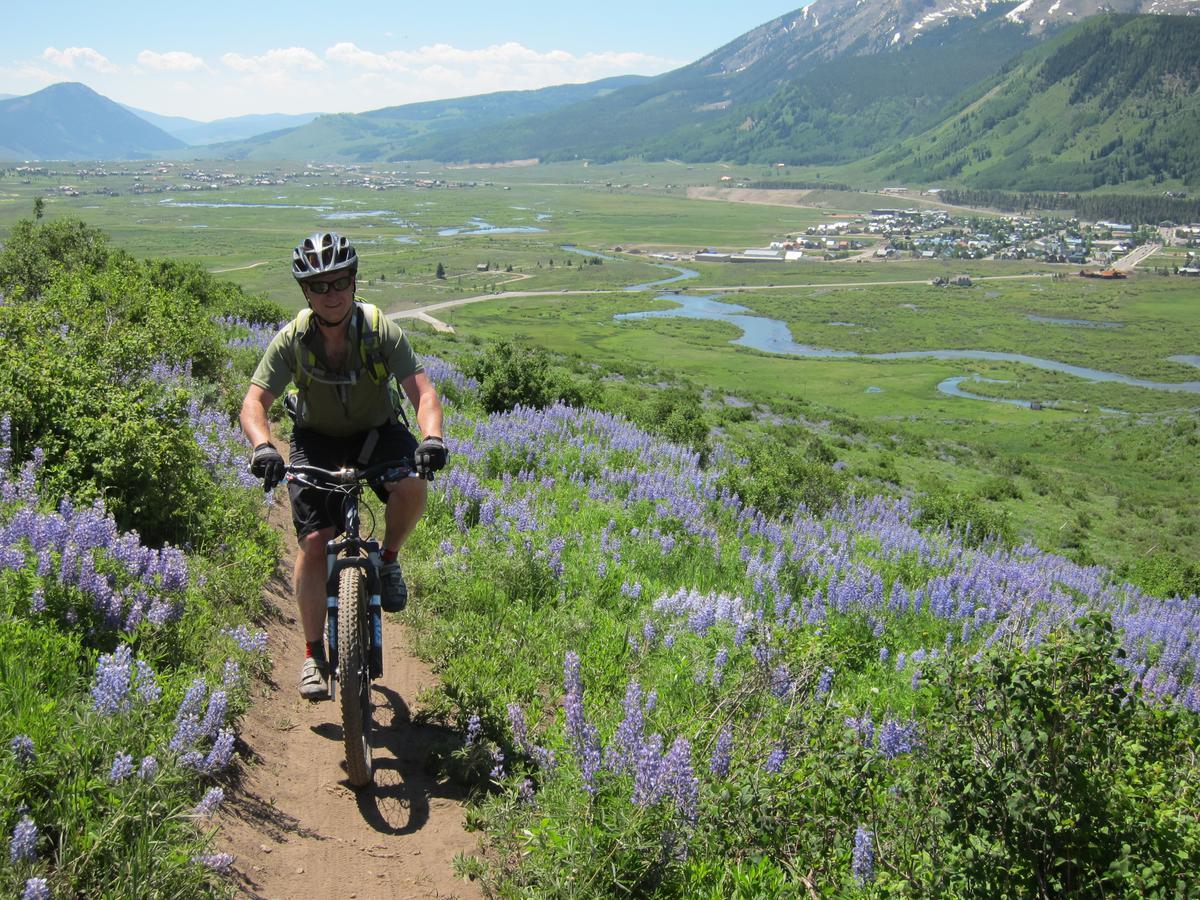Purple Mountain Bed & Breakfast & Spa Crested Butte Zewnętrze zdjęcie